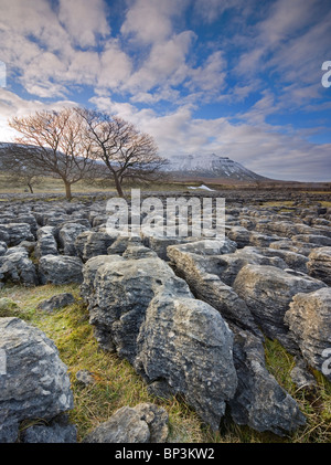 Kalkstein Pflaster am Fuße der Schnee bedeckt Ingleborough Hügel am Southerscales eine der drei Zinnen Ingleton Yorkshire Dales UK Stockfoto