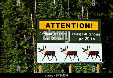 Caribou Crossing Schild, Kanada Stockfoto