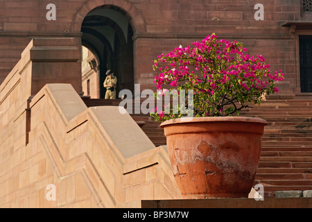 Schritte, Zentralsekretariat (Kendriya Sachivalaya) auf dem Raisina Hill, New Delhi, Indien Stockfoto