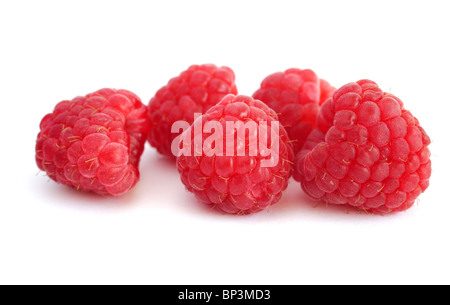 Himbeeren auf weißem Hintergrund - Fokus auf Vordergrund Stockfoto