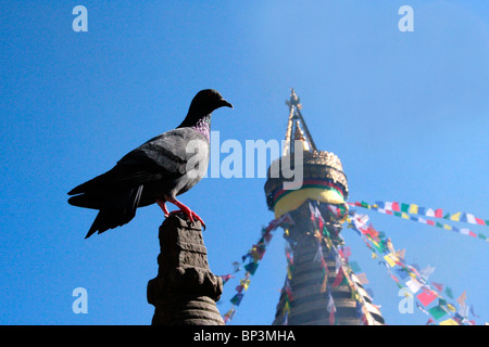 Buddhistische Horizont Stockfoto