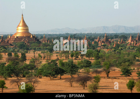 Myanmar, Bagan, weiten trockenen Ebene des alten buddhistischen Tempeln und Büsche Stockfoto