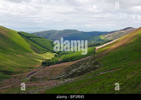 Blick von Hobcarton Klettergarten am Hopegill Head in Richtung Grisedale Pike und Whinlatter Forest im Lake District, Cumbria. Stockfoto