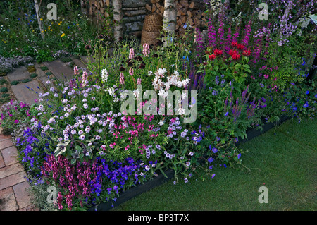 Eine bunt gemischte Blume Grenze mit Monarda "Cambridge Scarlet" Stockfoto