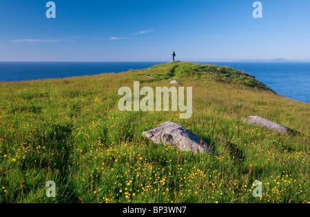 Blütezeit auf der Insel Runde auf der atlantischen Westküste von Norwegen. Stockfoto