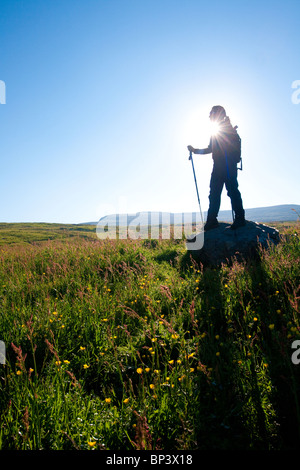 Wanderer auf der Insel Runde in Herøy Kommune, Møre Og Romsdal Fylke, Westküste Norwegens. Stockfoto