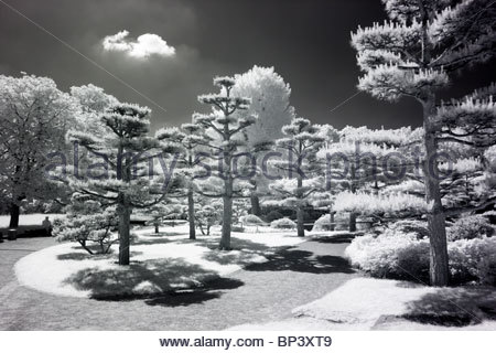 japanischer Garten - Düsseldorf Stockfoto, Bild: 283022425 ...