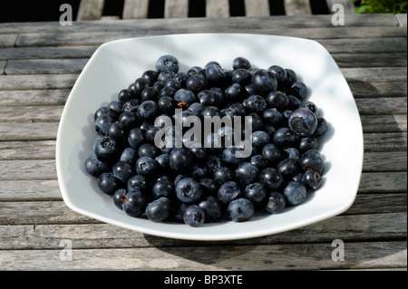 organic blueberry inside a dish on a wooden table Stockfoto