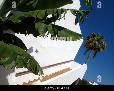 Architekturdetail des spanischen Ferienwohnung mit Palme und blauer Himmel Stockfoto