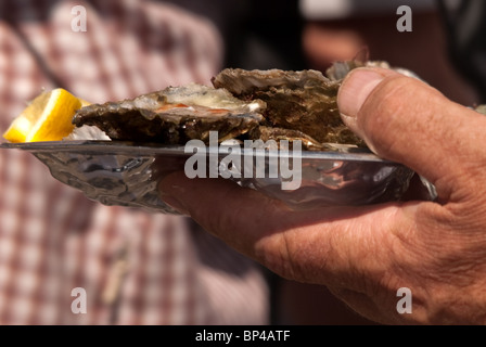 Ein Teller mit Austern Stockfoto