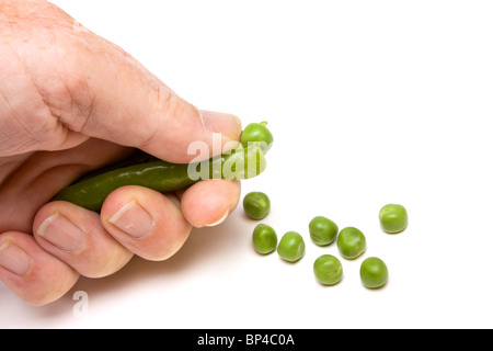 Beschuss frische Garten Erbsenschoten isoliert vor weißem Hintergrund. Stockfoto