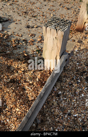 Holz- wellenbrecher am Strand auf der Messe Hillhead, Fareham, Hampshire, England, UK. Stockfoto