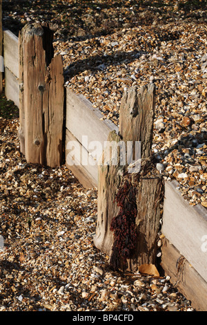 Holz- wellenbrecher am Strand auf der Messe Hillhead, Fareham, Hampshire, England, UK. Stockfoto