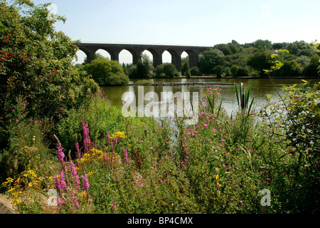 Großbritannien, England, Cheshire, Stockport, rötlich Vale Country Park, Reservoir unter Eisenbahnviadukt Stockfoto