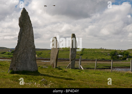 Cnoc Ceann ein "Ghàrraidh No 2 Steinkreis in der Nähe von Calanais, Isle of Lewis äußeren Hebriden, Schottland.    SCO 6274 Stockfoto