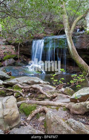 Fort Payne, AL - Apr 2009 - Wasserfall im DeSoto State Park in Fort Payne, Alabama Stockfoto