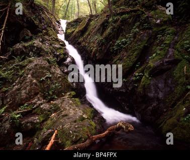 Schmale Wasserfall durch Wald, VA Stockfoto