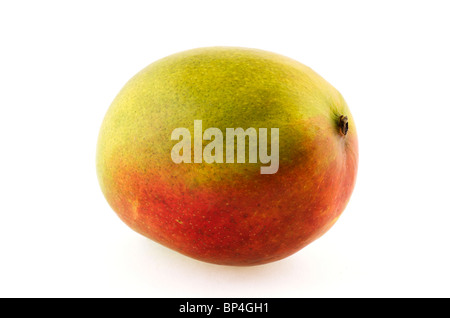 Mango (Mangifera Indica) Stockfoto