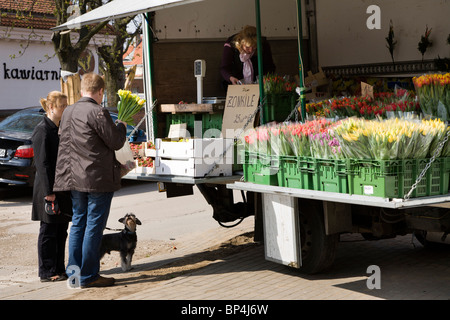 Ein paar Blumen, Warschau zu kaufen. Stockfoto