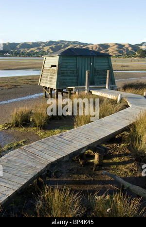 Blenden Sie für Anzeigen Vögel bei Wildlife Reserve, Pauatahanui Inlet, Porirua Harbour aus, Wellington, Nordinsel, Neuseeland Stockfoto