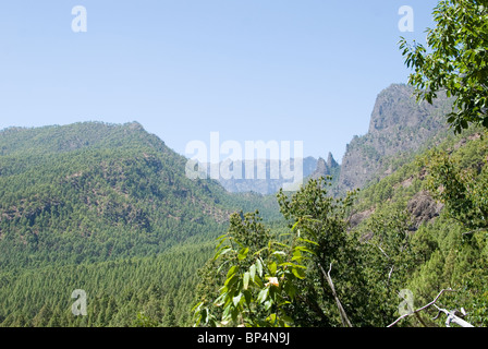 Blick in Richtung La Cumbrecita und der Nationalpark Caldera de Taburiente Stockfoto