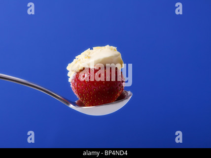 Erdbeeren und Sahne Stockfoto