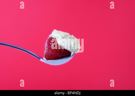 Erdbeeren und Sahne Stockfoto