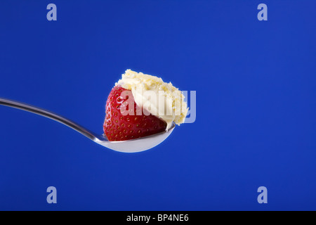 Erdbeeren und Sahne Stockfoto