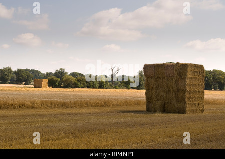 Geerntet, Strohballen und landwirtschaftliche Flächen in der Chilterns Buckinghamshire UK Stockfoto