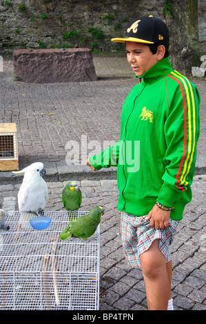 Junge mit Kakadus und Papageien am Marktstand, Visby, Gotland County, Provinz Gotland, Schweden Stockfoto