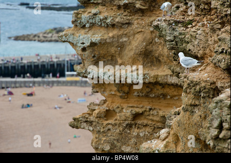 West Bay Bridport Dorset Stockfoto