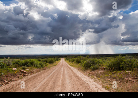 Isolierte Gewitterregen vom drohenden Cumulus Wolkenformationen, während auf unbefestigte Straße führt in die Ferne Sonne fallen Stockfoto