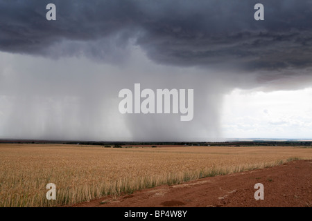 Herabregnen Sie von dramatischen dunkel drohende Cumulus Wolkenformationen auf Ackerland in der Ferne Schlieren Stockfoto