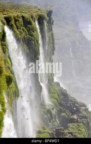 Fällt neben Teufelskehle, Iguassu oder Iguazu falls National Park, Argentinien Stockfoto