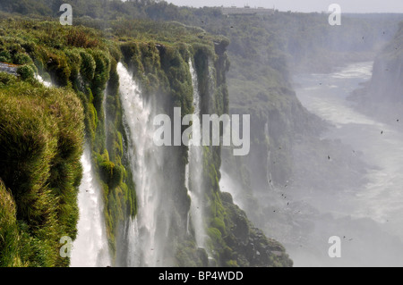 Fällt neben Teufelskehle, Iguassu oder Iguazu falls National Park, Argentinien Stockfoto