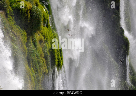 Fällt neben Teufelskehle, Iguassu oder Iguazu falls National Park, Argentinien Stockfoto