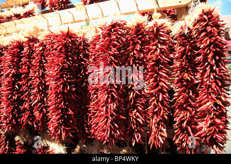 Getrocknete rote Chilis, Chili Ristras, Santa Fe, New Mexico, USA Stockfoto