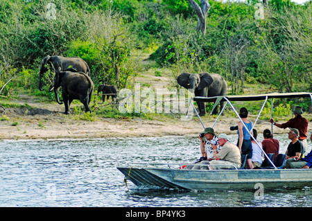 Bootsfahrt auf dem Chobe River in der Nähe von Kasane, Chobe National Park, Republik Botsuana, Südliches Afrika Stockfoto