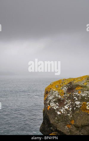 Flechten bedeckten Felsen, Svínoy, Färöer Inseln Stockfoto