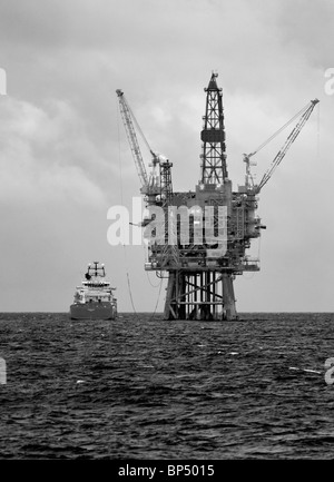 Ozean Mainport entlädt bei Tern A Stockfoto