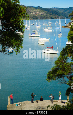 Eine Familie Fische vor Yachten festgemacht an einem ruhigen Fluss. Klicken Sie für Details. Stockfoto