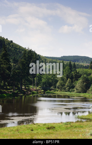 Cragside historisches Haus Northumberland UK - im Garten, am See Stockfoto