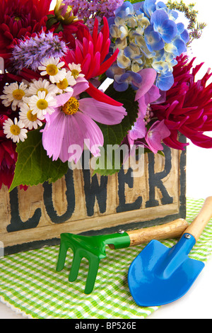 Garten Blume Bouquet mit Hydrangea Kosmos und andere Stockfoto