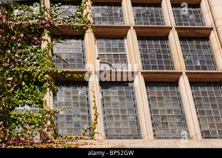 Cragside historisches Haus Northumberland UK - Glasfenster Stockfoto