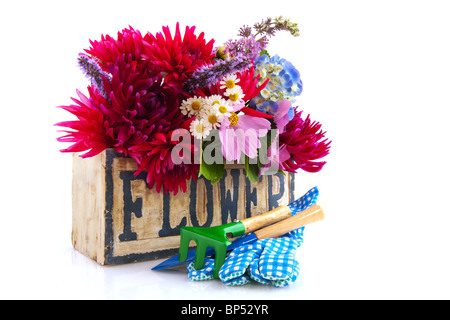 Garten Blume Bouquet mit Hydrangea Kosmos und andere Stockfoto