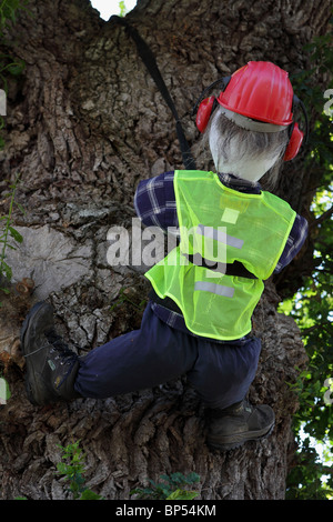 Hoch oben auf einer Eiche in Acton Burnell, einer der Teilnehmer im jährlichen Wettbewerb unter dem Motto Vogelscheuche. Stockfoto