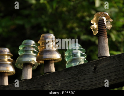 Glas Isolatoren auf einem hydro Pol Stockfoto