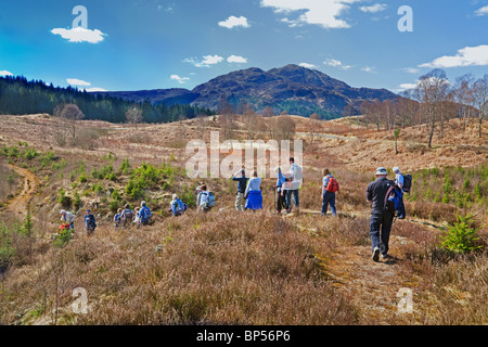 Ein Club, Wandern zu Fuß in die Trossachs. Ben Venue ist im Hintergrund. Stockfoto