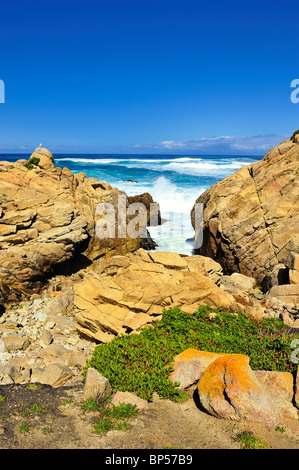 Wellen gegen Felsen, Absturz Pebble Beach Kalifornien entlang des 17-Mile Drive mit winzigen Möwe und Bodendecker Weitwinkel Stockfoto