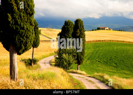 Feldweg führt zur Villa in der Nähe von Pienza Toskana Italien Stockfoto